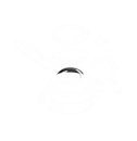 Light Path